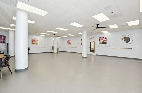 Gallery Copy Copy Copy Copy Copy Copy Copy